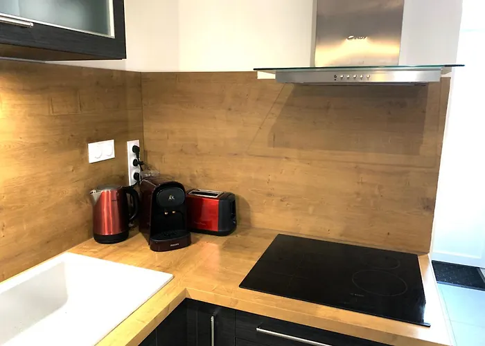Appartement Renove Avec Terrasse Et Jardin